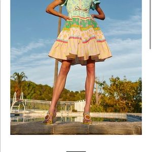 Nwt celia b Ursula dress in multi